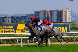 KARADENİZ KOŞUSU GALİBİ GENERAL BRIELLA