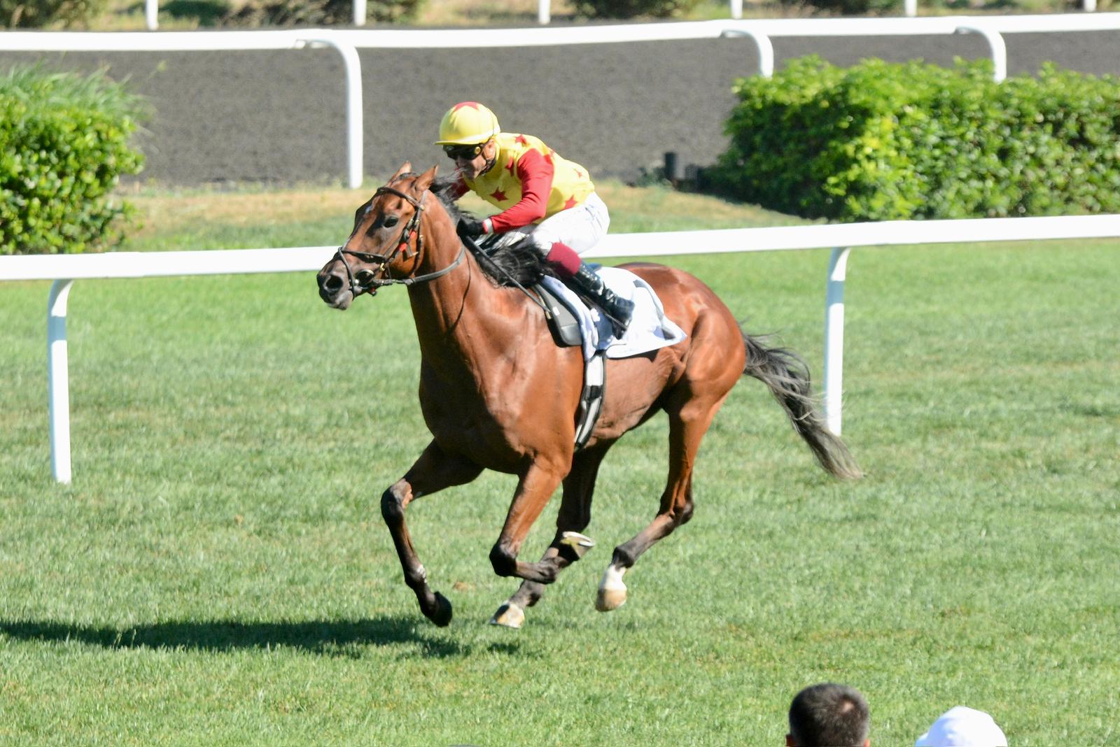 MİMAR SİNAN KOŞUSUNU KAZANAN İSİM BRAVE JUMPER