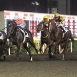 ULUSLARARASI FRANCE GALOP ANADOLU KOŞUSUNDA KAZANAN CAPTAIN FANTASTIC