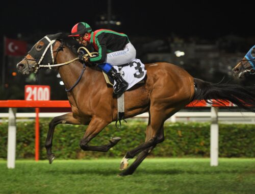 DERNEĞİMİZ ADINA DÜZENLENEN SİAYSD KOŞUSU’NU GRACE OF GOD KAZANDI