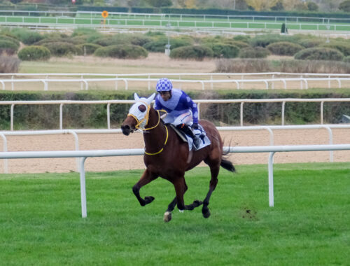 Bİ'TALİH TAY DENEME GALİBİ WHIZBANG