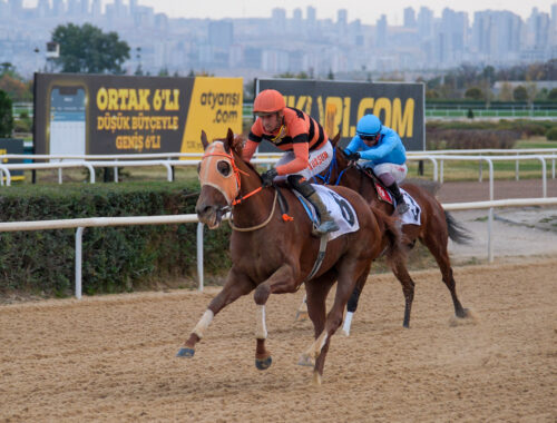 SHINNY KAPADOKYA KOŞUSU GALİBİ