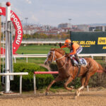 WARDENCLYFFE ANKARA KALESİ KOŞUSU GALİBİ