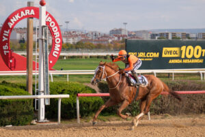 WARDENCLYFFE ANKARA KALESİ KOŞUSU GALİBİ