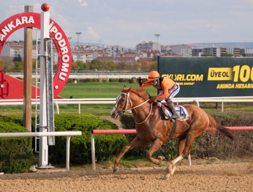 WARDENCLYFFE ANKARA KALESİ KOŞUSU GALİBİ