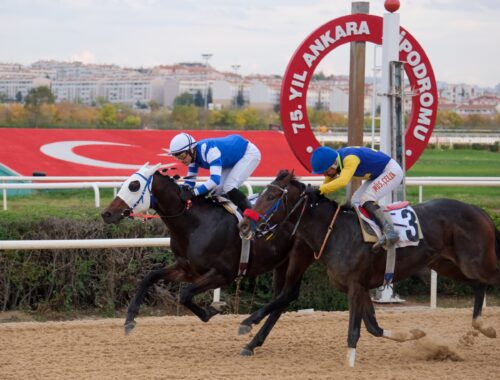 ESENBOĞA KOŞUSU GALİBİ SILENT TREATMENT