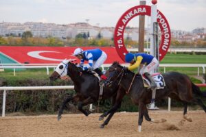 ESENBOĞA KOŞUSU GALİBİ SILENT TREATMENT