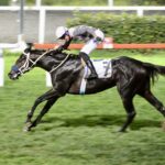 PRENS HALİM SAİT TÜRKHAN KOŞUSU GALİBİ BATTLE FOR GLORY