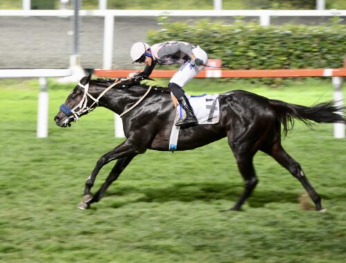 PRENS HALİM SAİT TÜRKHAN KOŞUSU GALİBİ BATTLE FOR GLORY