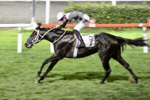 PRENS HALİM SAİT TÜRKHAN KOŞUSU GALİBİ BATTLE FOR GLORY