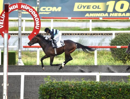 K. SAHİR KURUTLUOĞLU KOŞUSU GALİBİ STATUE OF LIBERTY