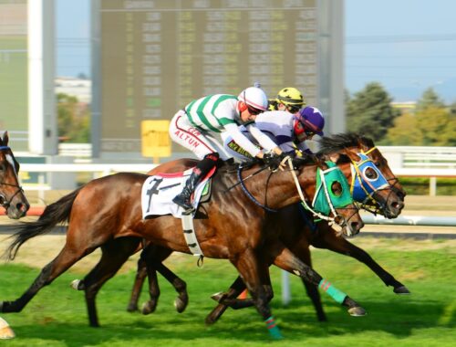 YUNUS EMRE KOŞUSU GALİBİ THE RAPTOR