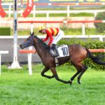 UPAMECANO ÇALDIRAN KOŞUSU GALİBİ