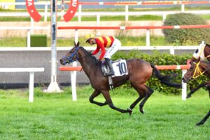 UPAMECANO ÇALDIRAN KOŞUSU GALİBİ