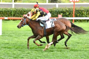 ZÜHTÜ ERİŞEN KOŞUSU GALİBİ AMAZING TOUCH