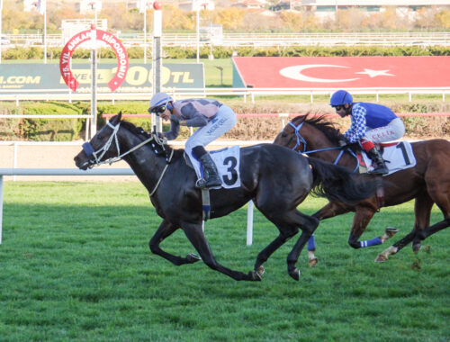 ADNAN MENDERES KOŞUSU GALİBİ BATTLE FOR GLORY