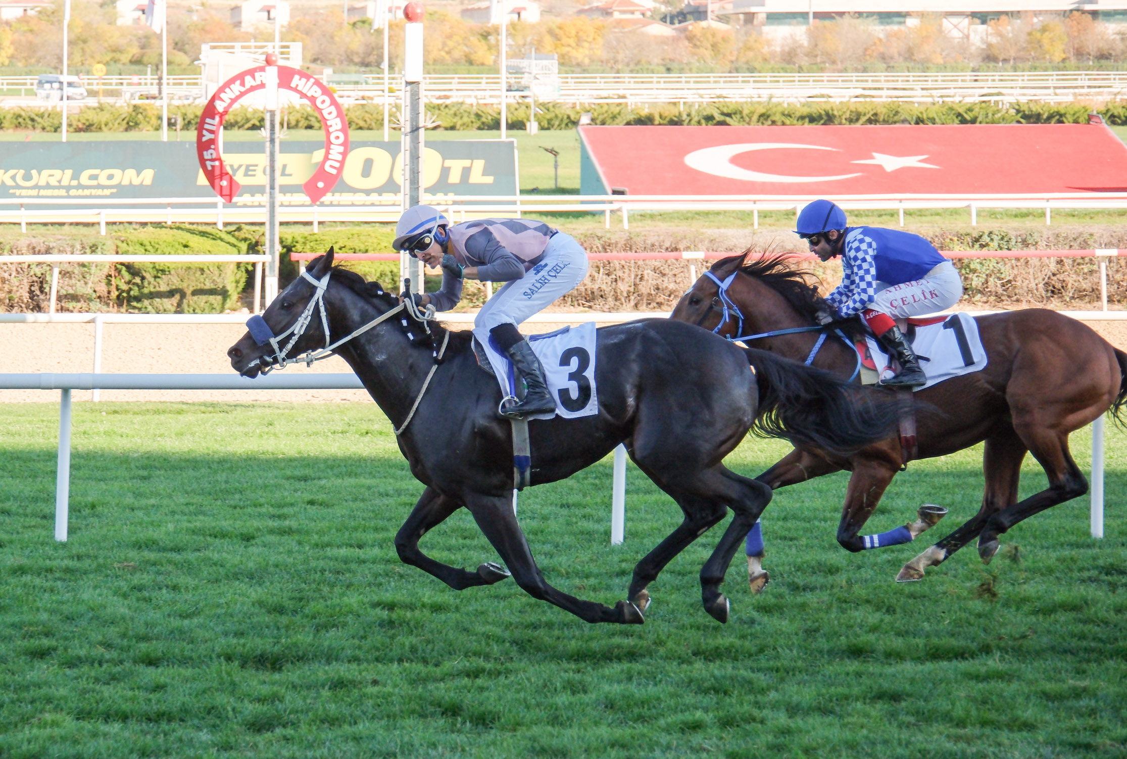 ADNAN MENDERES KOŞUSU GALİBİ BATTLE FOR GLORY