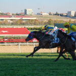 87. CUMHURBAŞKANLIĞI KOŞUSU GALİBİ GRANDE FLUSSO