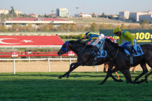 87. CUMHURBAŞKANLIĞI KOŞUSU GALİBİ GRANDE FLUSSO