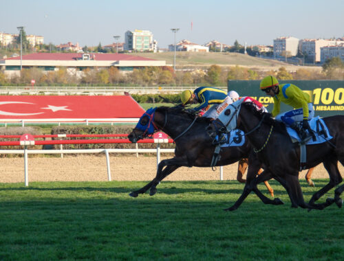 87. CUMHURBAŞKANLIĞI KOŞUSU GALİBİ GRANDE FLUSSO